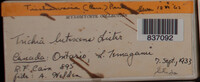 Image Associated With the Occurence